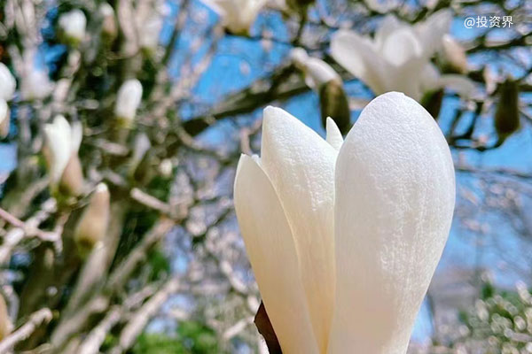 谁来为AI泡沫买单？朱宁谈市场信心与估值风险